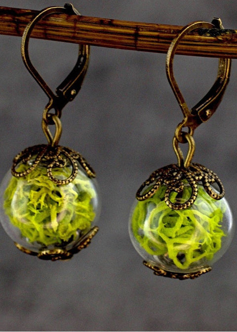 MadamLili Moss Terrarium Oorbellen