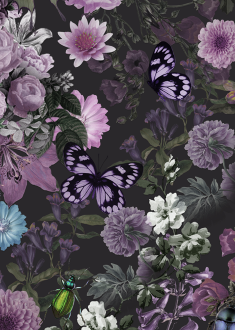 Succubus Clothing Ida Enchanted Garden 50'er-swingkjole sort