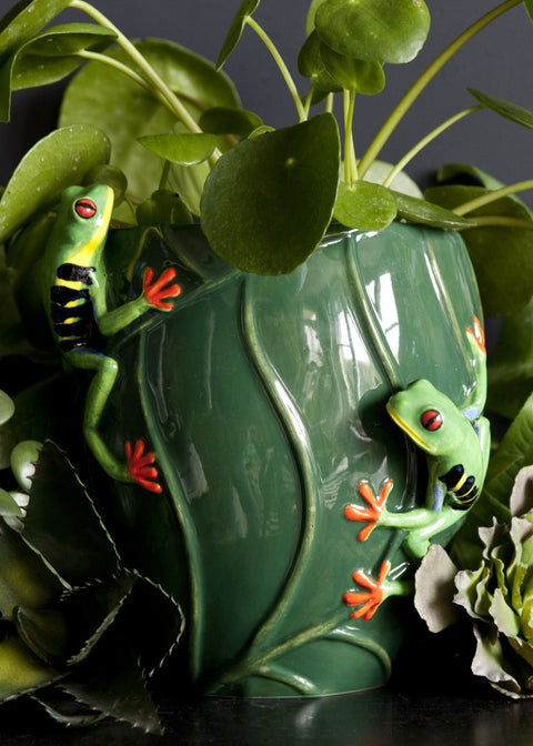 Succubus Home Animal Tree Frog Vaas Groen - sfeerfoto