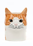 Succubus Home Animal Squash Cat Pot Orange