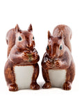 Succubus Home Animal Squirrel Pepper & Salt Shakers